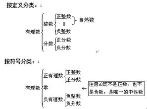 什么是有理数？请举例说明。 1