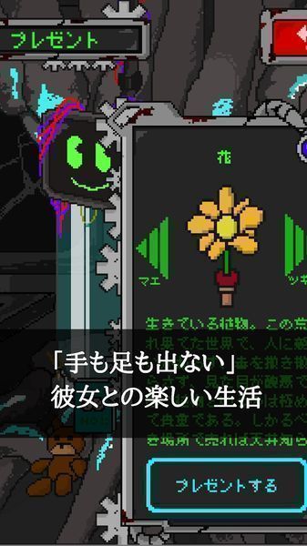挚爱 1