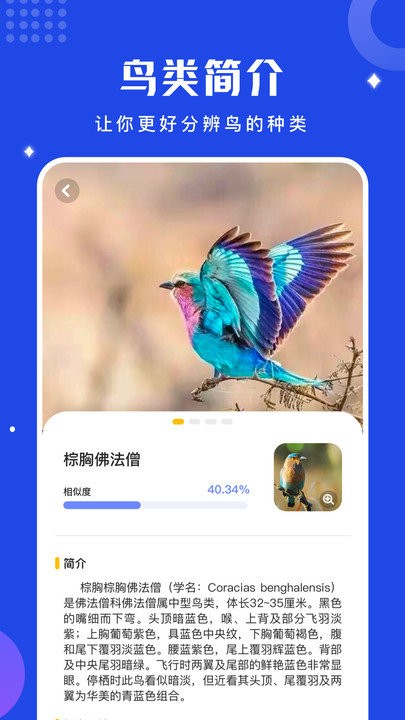 鸟语语言翻译器手机版 截图3