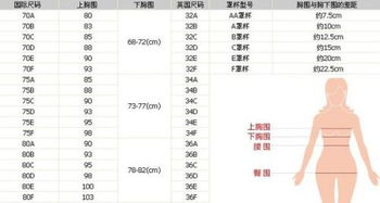 内衣尺码如何正确区分 3