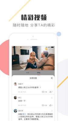 K9犬网 1