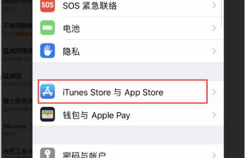 苹果手机里的iTunes Store：全面解析及使用指南 3