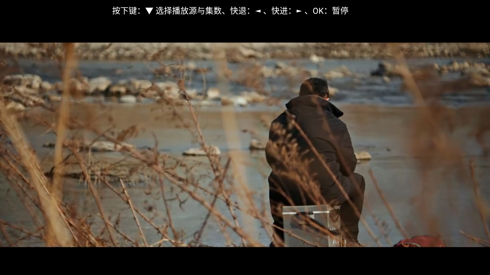 橘汁TV官方下载 1