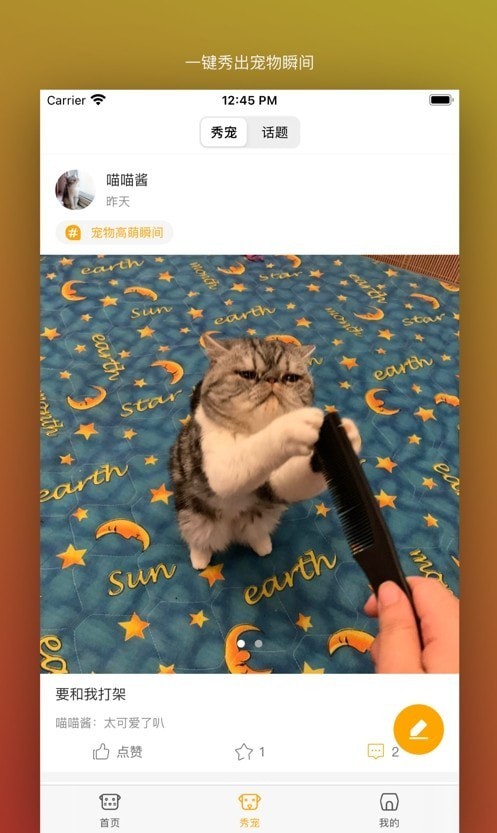 真命天喵 截图2