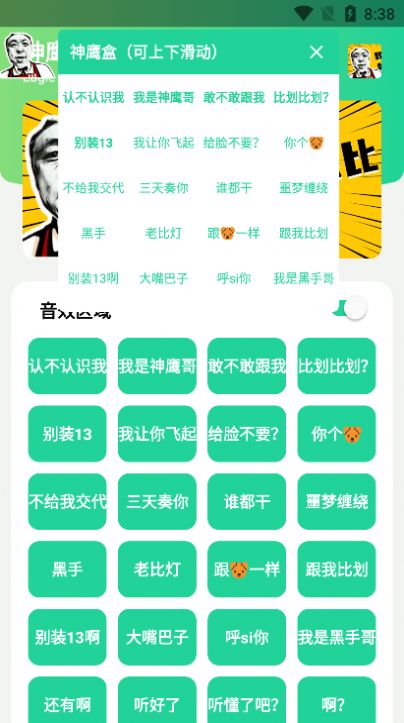 神鹰哥语音包app 1