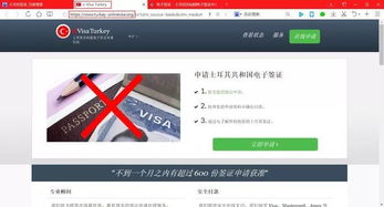 2021年最新土耳其签证申请全攻略 2