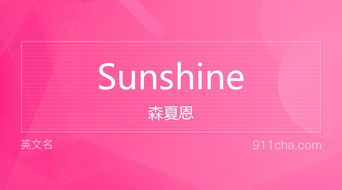 揭秘阳光密码：'Sunshine'一词背后的温暖含义与无限遐想 1