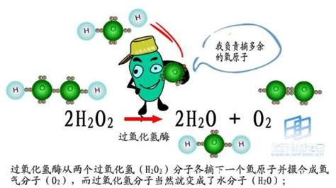 揭秘：氧化氢其实就是水吗？ 3