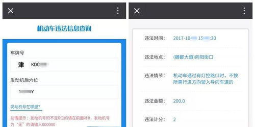 揭秘！114电话究竟能帮你查询哪些实用信息？ 2