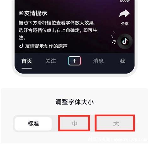 如何让抖音极速版的字体瞬间变大？简单步骤教你搞定！ 3
