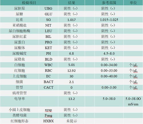 揭秘：尿常规检查的正常指标全解析 2