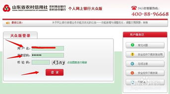 农村信用社网银登录与余额速查指南 1