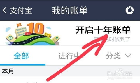 支付宝十年账单全攻略：轻松查询你的消费轨迹 3