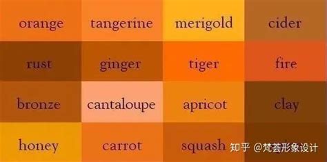 惊艳搭配！揭秘橙色与哪些颜色碰撞出绝美火花 3