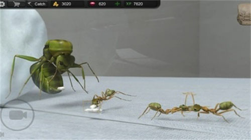 蚂蚁模拟大亨中文版 1