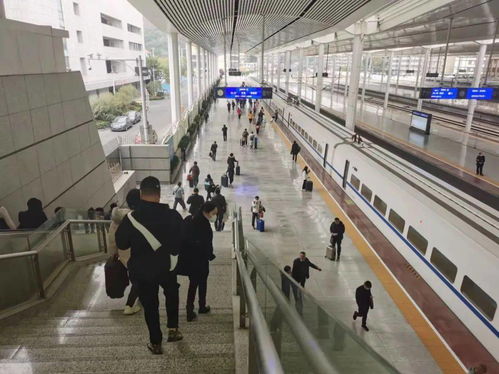 温州南站高效中转换乘全记录 4