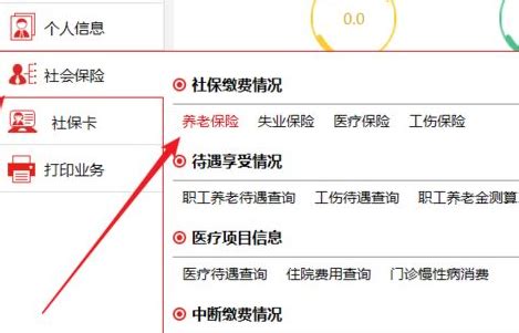 如何查询个人养老保险账户余额？ 1