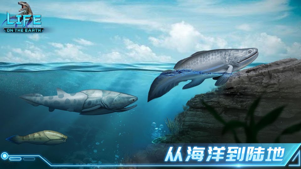 生命简史 1
