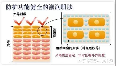 敏感肌如何修复变回正常皮肤？ 2