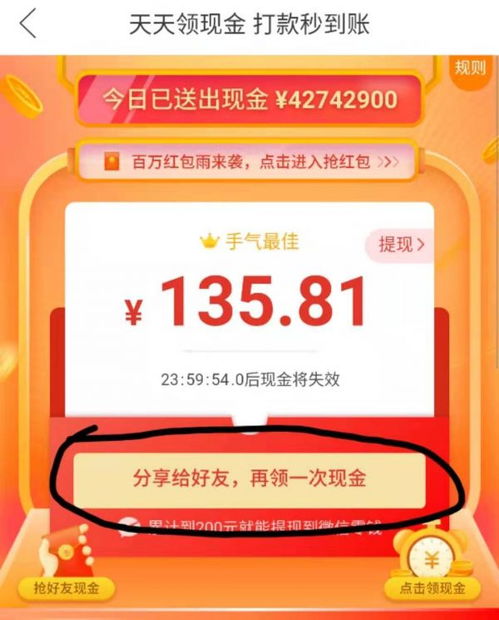 揭秘：拼多多天天领现金的高效攻略与绝招 2