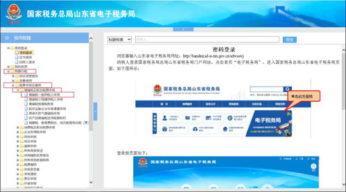 山东地区网上税务申报流程指南 1