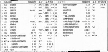 揭秘：尿常规检查的正常指标全解析 1