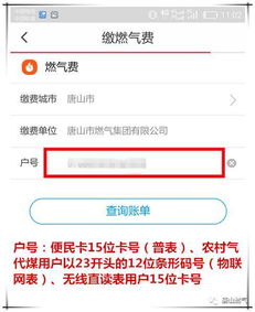 轻松指南：如何在网上缴纳燃气费 2