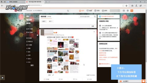 揭秘！微博网页版超便捷方法，轻松查看你的珍贵收藏夹 3