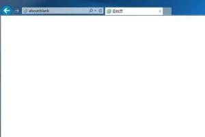 遇到浏览器打开变空白页（about:blank）？这里有超实用的解决方案！ 1