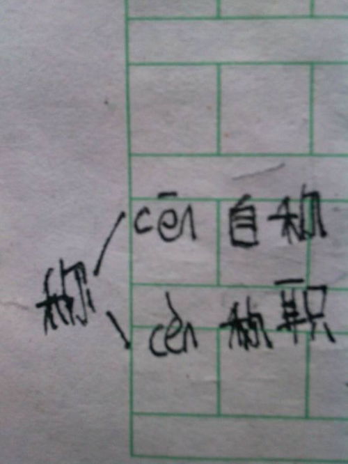 如何区分并组词常见的多音字？ 2