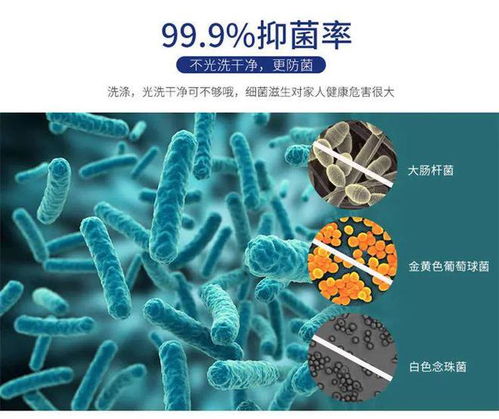 蚂蚁庄园揭秘：'爆炸盐'——高效衣物洗涤新选择 4