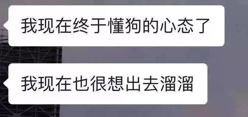 解析'百无聊赖'的真正含义 2