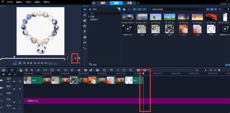 精通会声会影：家庭影片制作全步骤指南 1