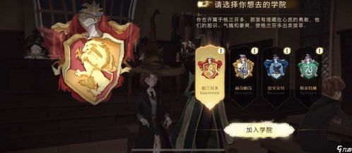 哈利波特魔法觉醒：完美学院选择指南与攻略 1