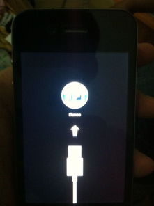 如何轻松实现iPhone 5在iOS 10.3.1版本上的越狱？ 3