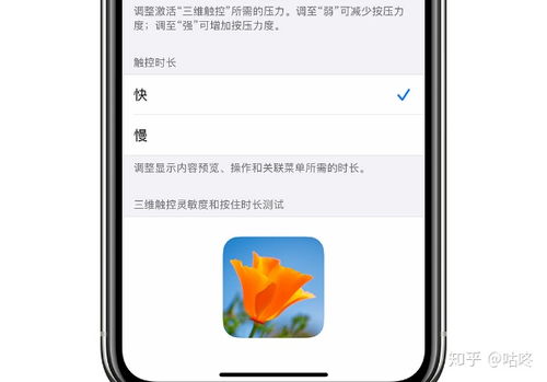 如何轻松使用iPhone苹果手机进行称重：详细教程 1