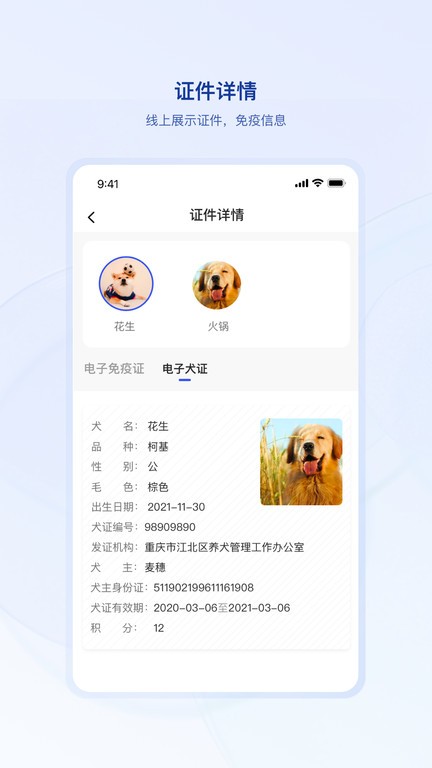 狗联网 1