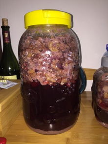家庭DIY：酿造美味葡萄酒的秘籍 2