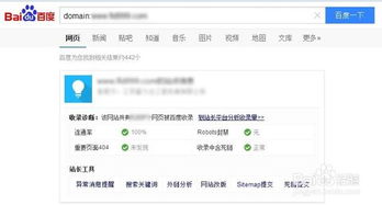 网站搜索引擎优化（SEO）诊断策略 1
