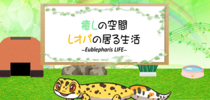 守宫的治愈小屋游戏 1