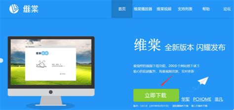 维棠FLV视频下载工具使用指南 1