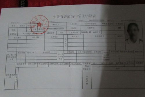 揭秘！轻松几步，教你快速查询大学学籍号 2