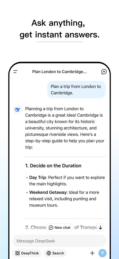 deepseek国际版 截图2