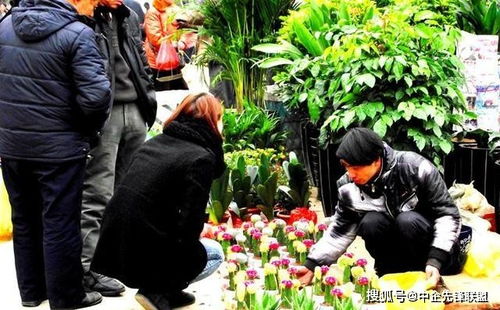 冬季热销地摊商品推荐 2