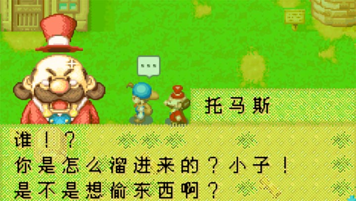 牧场物语矿石镇的伙伴们完美汉化版 截图3