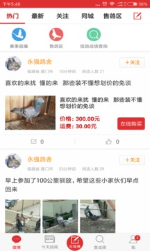搜鸽天下 截图3