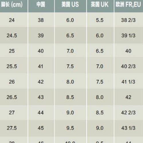 245(2.5)鞋码对应多少号 2