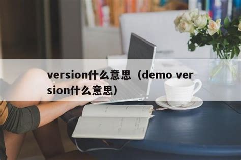 version的含义是什么 4