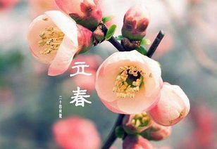 2019年竟然“缺失”立春？揭秘农历奇象！ 2