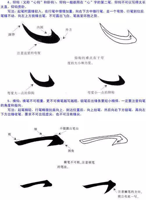 揭秘！掌握点的正确写法，让你的书写更规范，一学就会！ 1